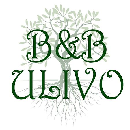 Ulivo Bed & Breakfast Trapani Eksteriør bilde